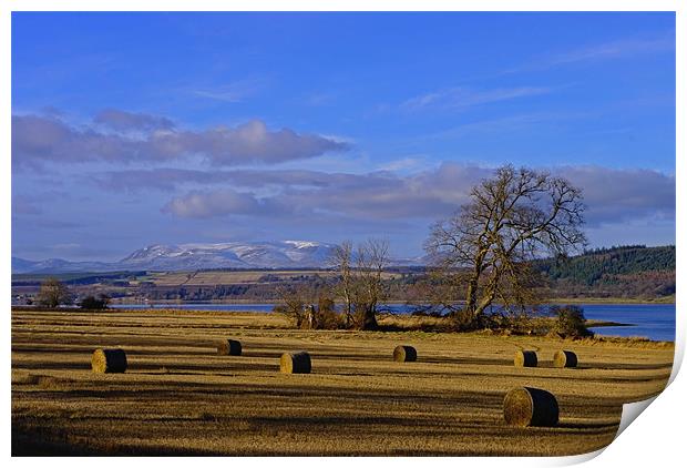 Ben Wyvis and the Beauly Firth Print by Jacqi Elmslie