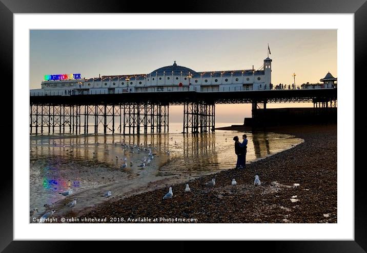 Love Birds on Brighton Beach Framed Mounted Print by robin whitehead