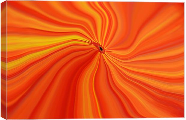 Orange Abstract Canvas Print by Donna Collett