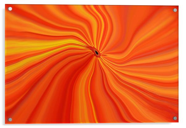 Orange Abstract Acrylic by Donna Collett