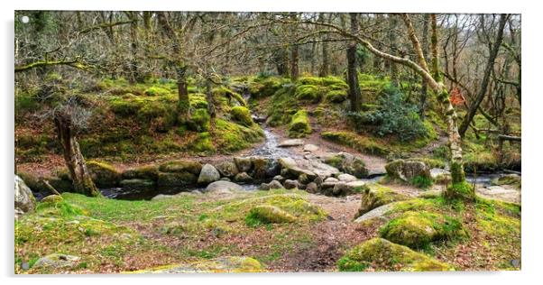 Becka Brook Dartmoor Acrylic by Diana Mower