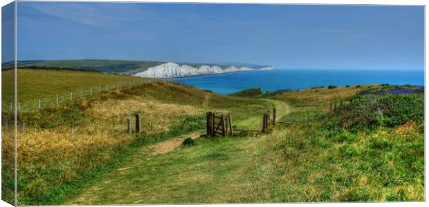 The Seven Sisters  Canvas Print by Diana Mower