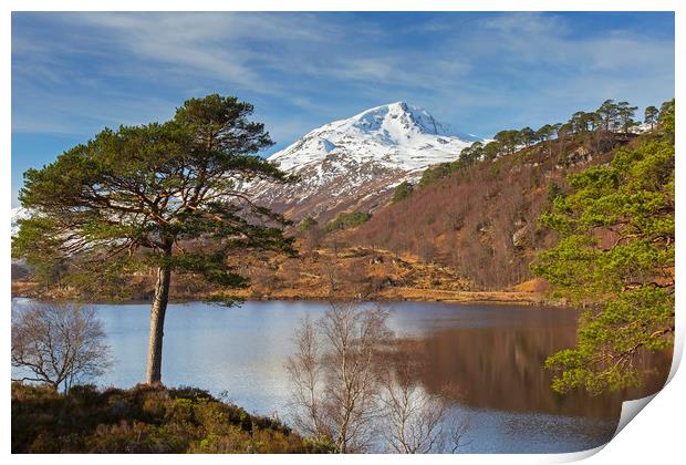 Loch Affric, Scotland Print by Arterra 