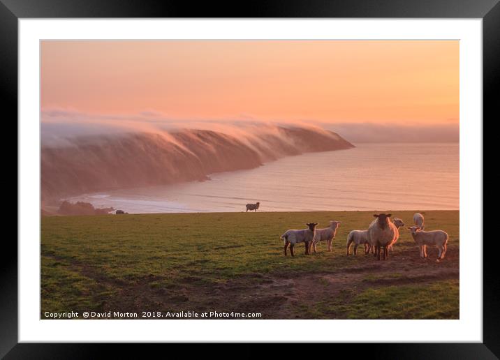 Baggy Point with Sea Mist Framed Mounted Print by David Morton