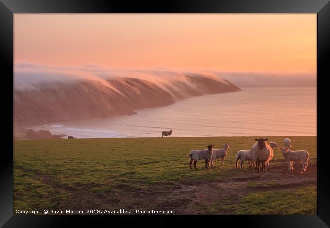 Baggy Point with Sea Mist Framed Print by David Morton