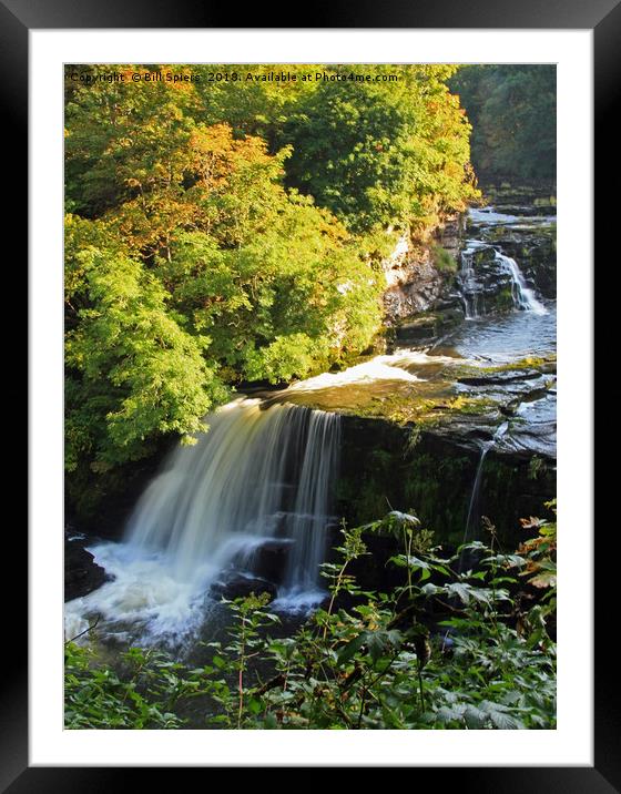 Bonnington Linn, Falls of Clyde, Lanark Framed Mounted Print by Bill Spiers