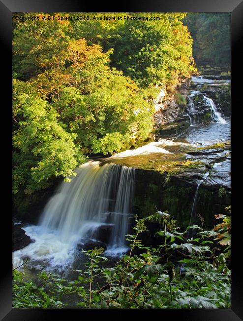 Bonnington Linn, Falls of Clyde, Lanark Framed Print by Bill Spiers