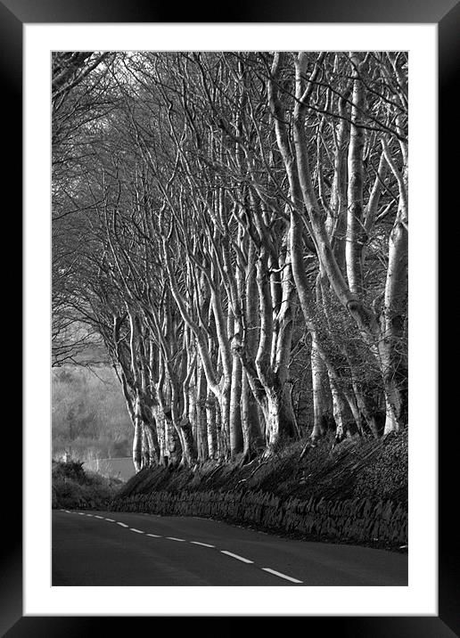 The Road to Dundrod Framed Mounted Print by pauline morris