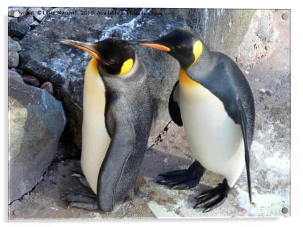 King Penguins .   Acrylic by Lilian Marshall