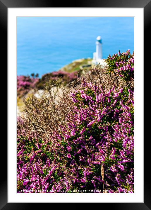 Purple heather with North Stack lighthouse Framed Mounted Print by Kevin Hellon