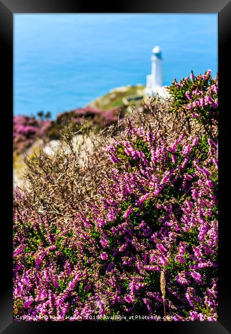 Purple heather with North Stack lighthouse Framed Print by Kevin Hellon