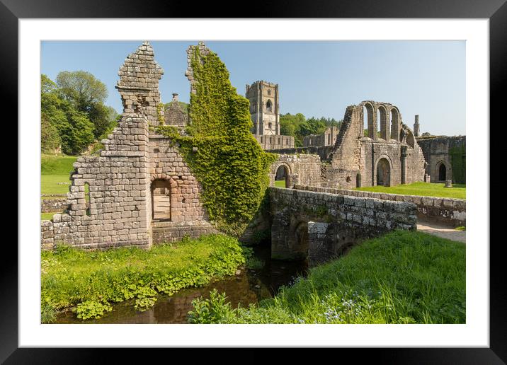 Fountains Abbey Framed Mounted Print by Thomas Schaeffer