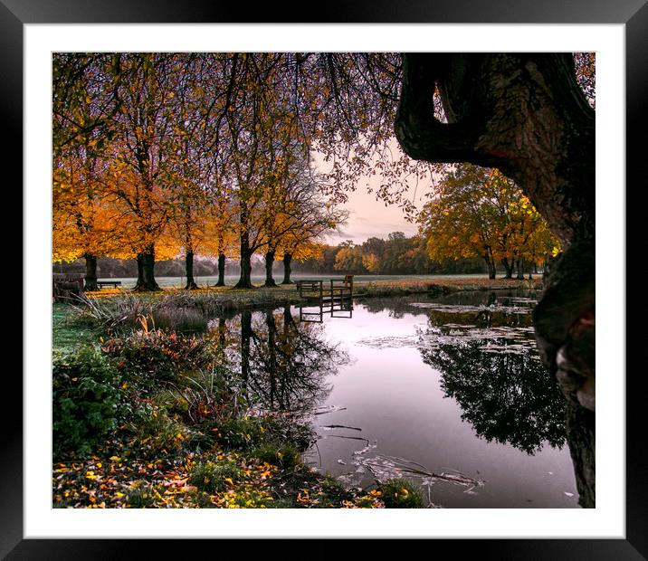 Dawn at Yateley Green Pond Framed Mounted Print by Dave Williams
