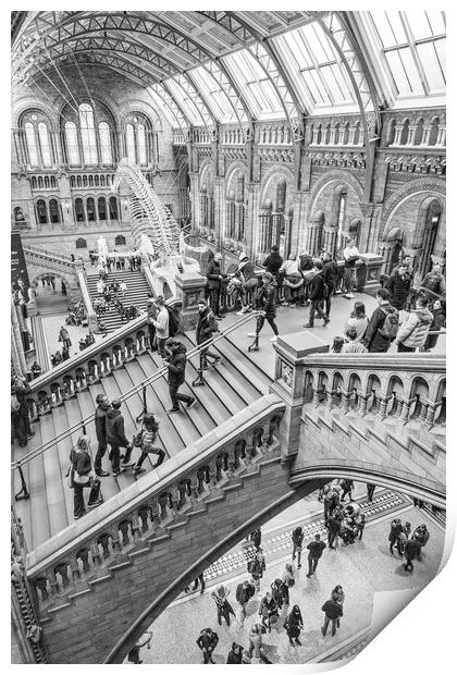 Natural History Museum Print by Graham Custance