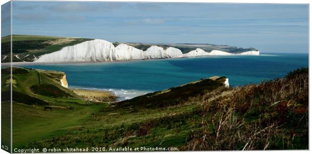 The Seven Sisters Canvas Print by robin whitehead