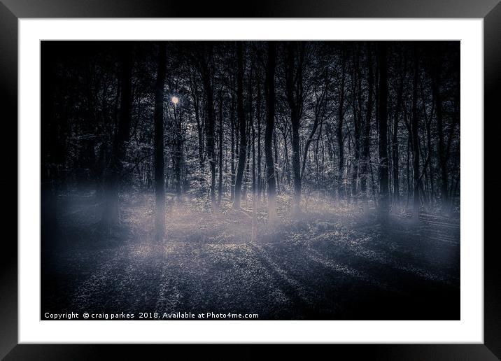 Tehidy Woods covered in mist Framed Mounted Print by craig parkes