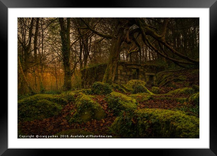 kennal vale woods Framed Mounted Print by craig parkes