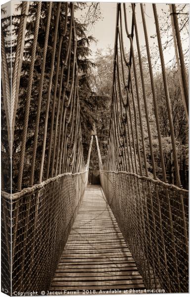 Alnwick Gardens Suspension Bridge  Canvas Print by Jacqui Farrell
