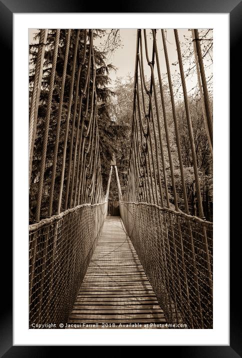 Alnwick Gardens Suspension Bridge  Framed Mounted Print by Jacqui Farrell