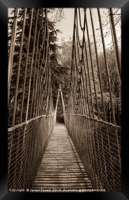 Alnwick Gardens Suspension Bridge  Framed Print by Jacqui Farrell