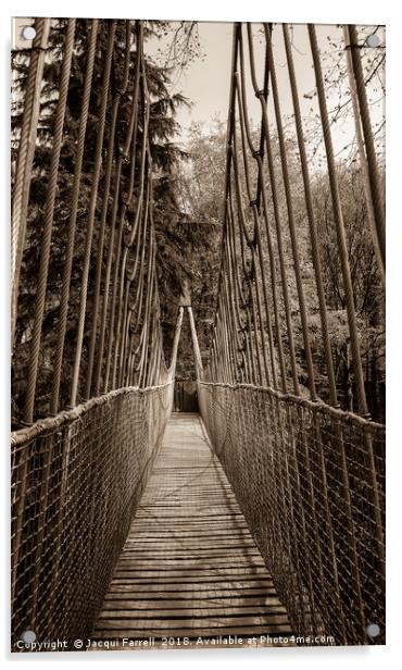 Alnwick Gardens Suspension Bridge  Acrylic by Jacqui Farrell