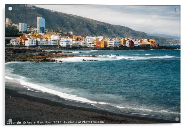 Playa Jardin with black sand in Tenerife Acrylic by Andrei Bortnikau