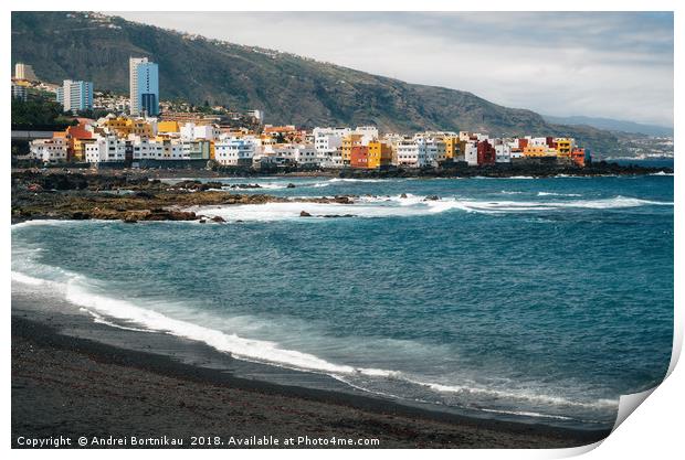Playa Jardin with black sand in Tenerife Print by Andrei Bortnikau