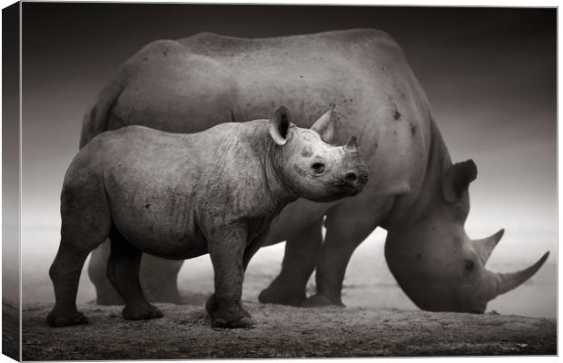 Black Rhinoceros calf Canvas Print by Johan Swanepoel
