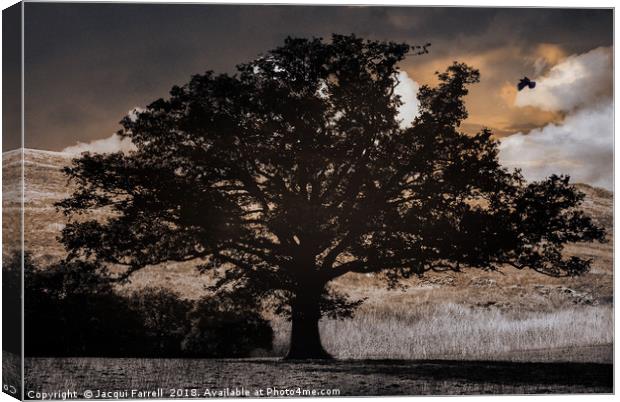 Gothic Tree Canvas Print by Jacqui Farrell
