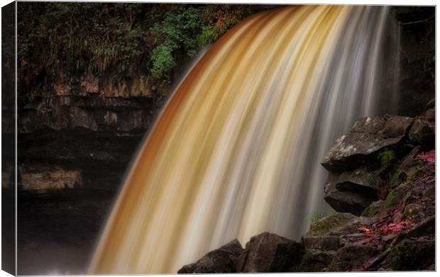 Waterfall power Canvas Print by Leighton Collins