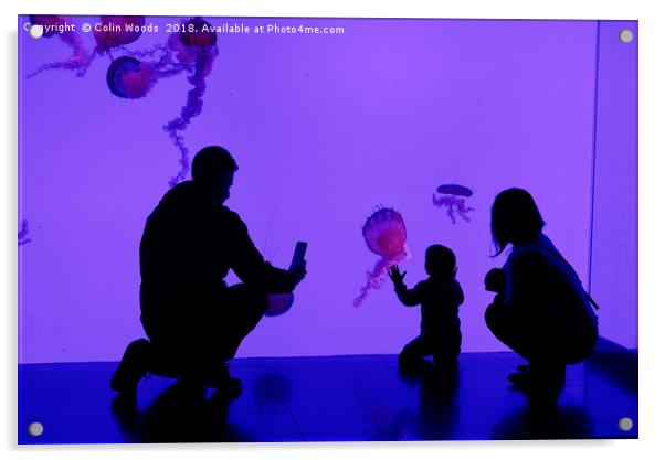 Jellyfish Tank Toronto Aquarium Acrylic by Colin Woods