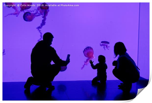 Jellyfish Tank Toronto Aquarium Print by Colin Woods