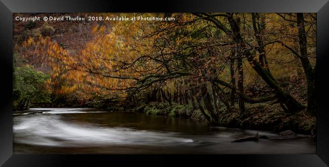 Autumn Colours in North wales Framed Print by David Thurlow