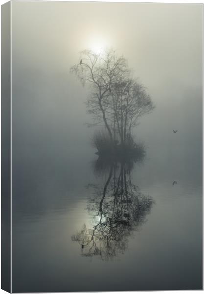 Island in the fog Canvas Print by Andrew Kearton