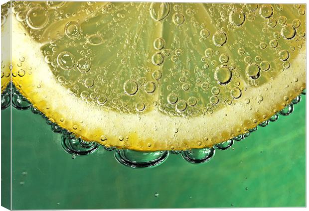 Lemon and Bubbles Canvas Print by Mike Gorton