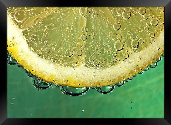 Lemon and Bubbles Framed Print by Mike Gorton