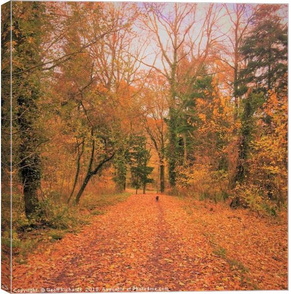autumn in the woods with Skipper Canvas Print by Geoff Richards