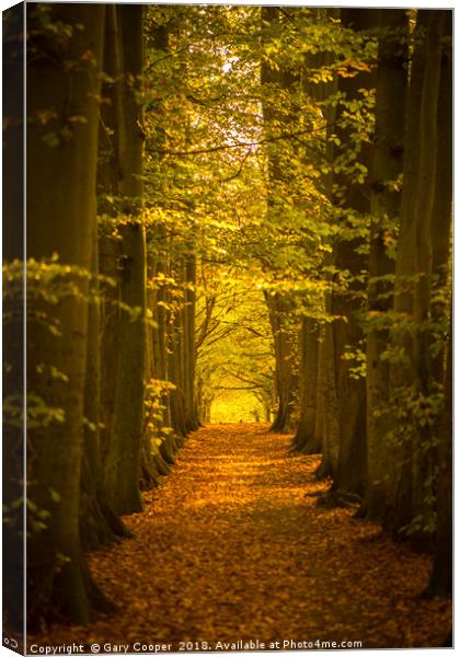 Autumn Forest High Elms Canvas Print by Gary Cooper