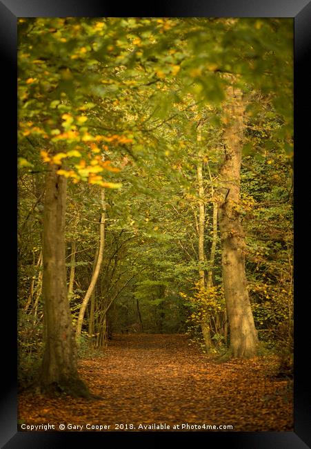 Autumn Walks High Elms Framed Print by Gary Cooper