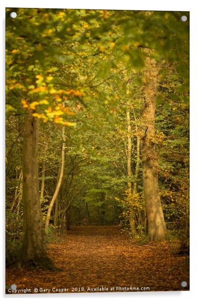 Autumn Walks High Elms Acrylic by Gary Cooper