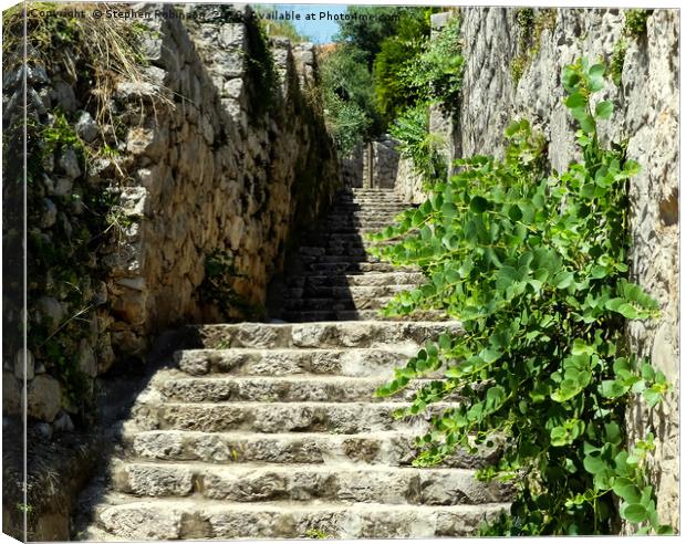 Ancient stone steps with wildflowers Canvas Print by Stephen Robinson