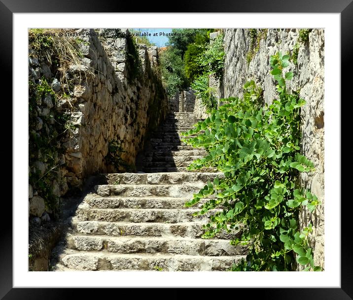 Ancient stone steps with wildflowers Framed Mounted Print by Stephen Robinson