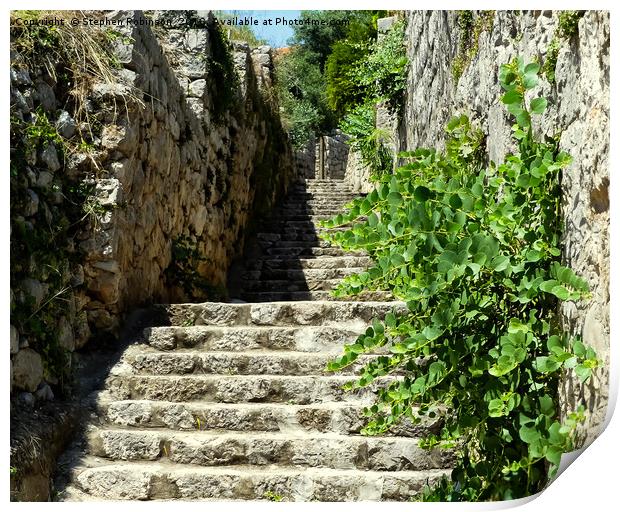Ancient stone steps with wildflowers Print by Stephen Robinson