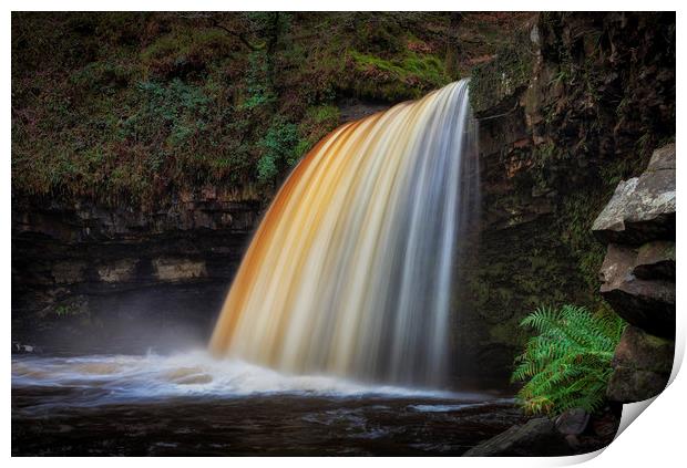 Lady Falls in full flow Print by Leighton Collins