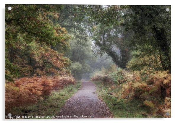 Misty Autumn Morning Walk Acrylic by David Tinsley