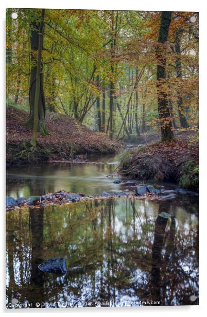 Autumn along the Brook - 2 Acrylic by David Tinsley