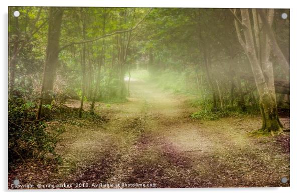Tehidy Woods covered in mist Acrylic by craig parkes