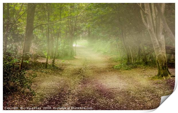 Tehidy Woods covered in mist Print by craig parkes