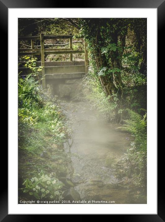 Tehidy woods in mist Framed Mounted Print by craig parkes