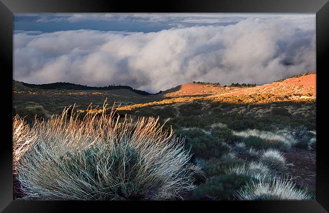 Above the Clouds, Tenerife Framed Print by Geoff Storey